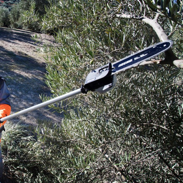 PODADORA ALTURA PPF 236 ES 2